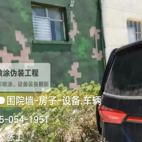 邯郸数码迷彩漆施工